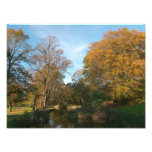 Paisaje del otoño, parque del Bute, Cardiff Impresiones Fotográficas