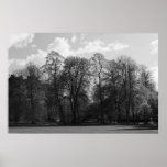 Paisaje del parque impresiones