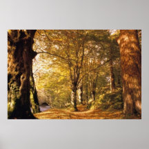 Paisaje del poster