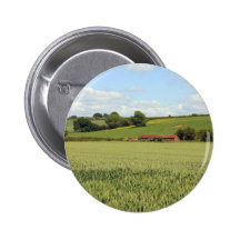 paisaje del verano pins