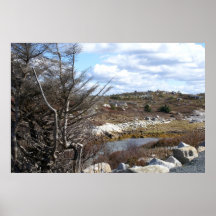 Paisaje en la ensenada de Peggy Poster