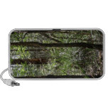 Paisaje hermoso del bosque con los árboles altos altavoces