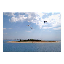 paisaje marino foto