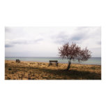 paisaje marino cojinete