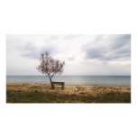 paisaje marino foto