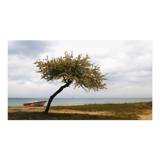 paisaje marino fotografia