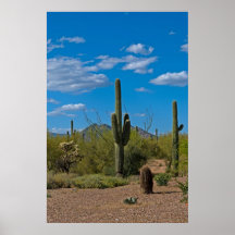 Paisaje natural 3994 del cactus impresiones