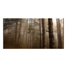Paisaje natural de los árboles forestales tarjetas fotográficas personalizadas