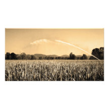 paisaje arte con fotos