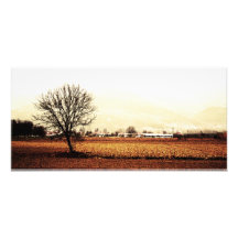paisaje impresiones fotograficas