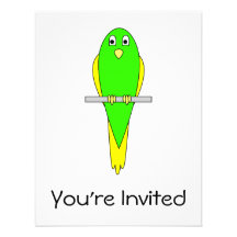 Pájaro amarillo y verde. Parakeet Comunicado Personalizado