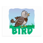 Pájaro amistoso del niño tarjetas postales