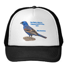 Pájaro azul gorro de camionero