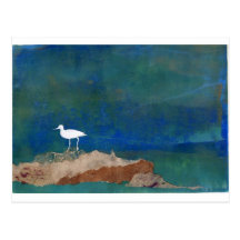 Pájaro blanco postal