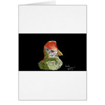 Pájaro colorido felicitacion 