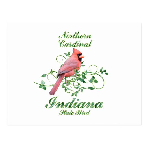 Pájaro de estado cardinal de Indiana Postales