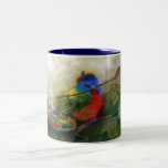 Pájaro de golpe ligero pintado pintor tazas