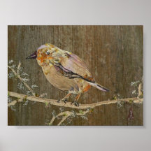 Pájaro de la ciudad posters
