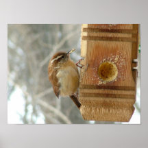 Pájaro de la mantequilla de cacahuete posters