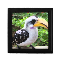 pájaro de la pintura del hornbill de lado caja de regalo