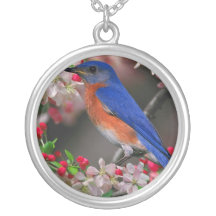 pájaro de la primavera grimpolas personalizadas