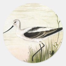 Pájaro de la vida marina del vintage, Avocet, aves Etiqueta Redonda