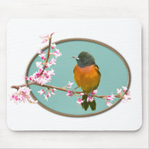 Pájaro de Oriole en rama con las flores de cerezo Tapete De Raton