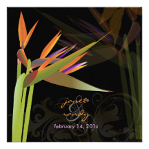 ¡Pájaro de PixDezines del color de fondo de Paradi Invitacion Personal