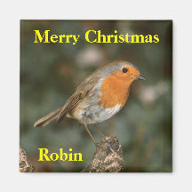Pájaro de Redbreast del petirrojo, imán del refrig