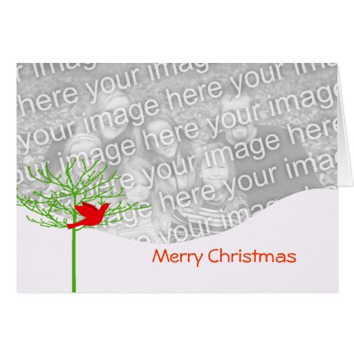 Pájaro del navidad - con imagen de la prima dentro tarjetas