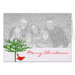 Pájaro del navidad - - modificado para requisitos  tarjetas