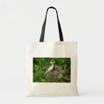 Pájaro del Rosa-breasted (femenino) con los jóvene Bolsas De Mano