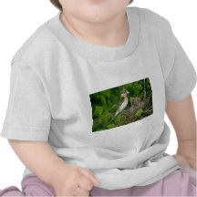 Pájaro del Rosa-breasted (femenino) con los jóvene Camisetas