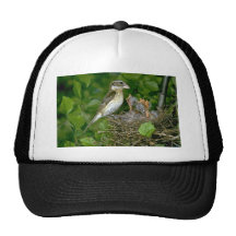 Pájaro del Rosa-breasted (femenino) con los jóvene Gorro De Camionero