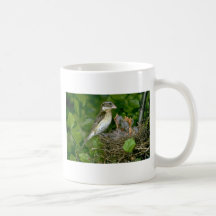 Pájaro del Rosa-breasted (femenino) con los jóvene Tazas
