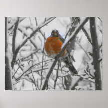 Pájaro en la nieve poster