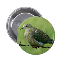 "Pájaro en paloma de un alambre" Pin