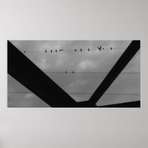 Pájaro en un alambre 2 poster