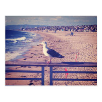 Pájaro en un carril tarjetas postales