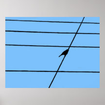 Pájaro en un poster del alambre