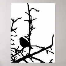 Pájaro en una rama posters