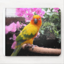 Pájaro exótico tapetes de ratón