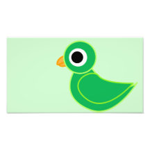 Pájaro Fotografía