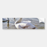 Pájaro hermoso del cisne pegatina de parachoque