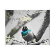 Pájaro Impresiones En Lienzo Estiradas