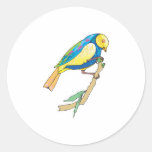 pájaro lindo del tit que se encarama etiquetas redondas