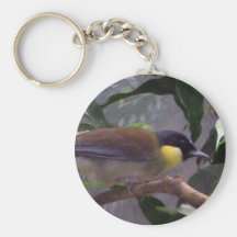 Pájaro Llaveros