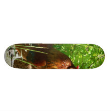 Pájaro orgulloso del pollo del gallo monopatin personalizado