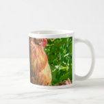Pájaro orgulloso del pollo del gallo tazas
