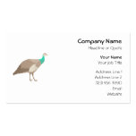 Pájaro. Peahen. Plantillas De Tarjetas De Visita